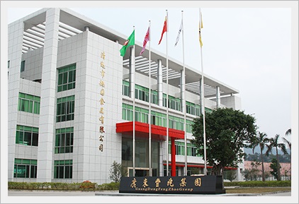 廣(guǎng)東代餐餅乾OEM廠(chǎng)家